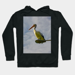 Pelican on a Light! Hoodie